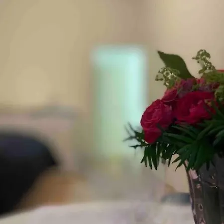 Appartement Stylish Cozy In Graz